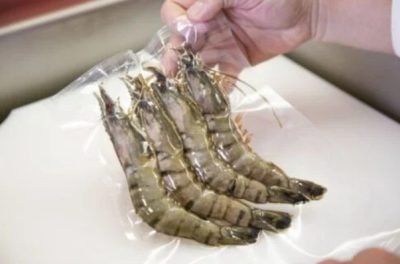 vacuum sealer untuk udang